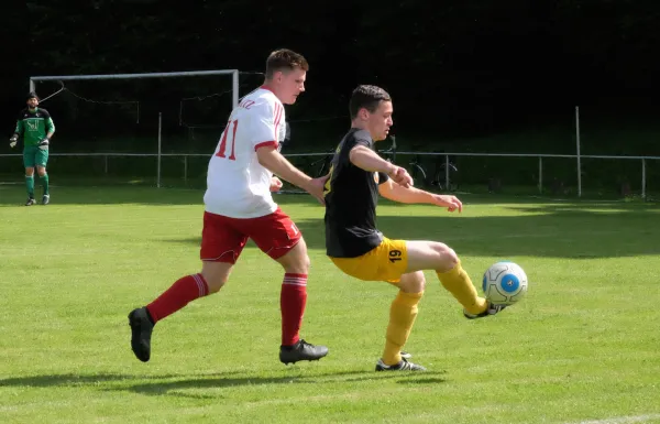 29. Spieltag LK: FSV Schleiz - Silbitz/Crossen
