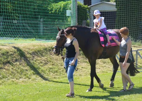 Vereinsfest FSV Schleiz 2017