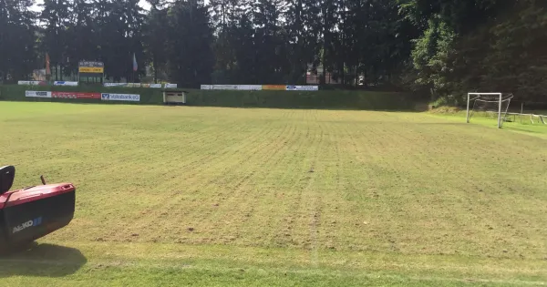 Platzsanierung 2017
