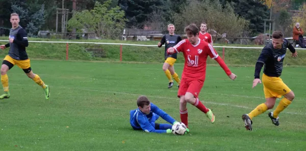 13. Spieltag LK: SV Silbitz/Crossen - FSV Schleiz