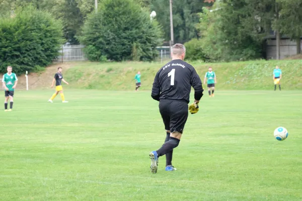 Vorbereitung 2018/19: FSV Schleiz - SV Pöllwitz