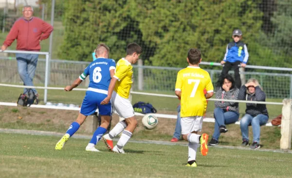 D-Junioren: FSV Schleiz - Blau-Weiß Neustadt