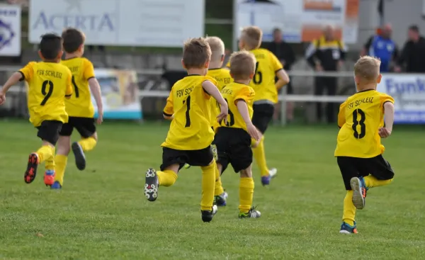 Testspiel FSV Schleiz - VFC Plauen