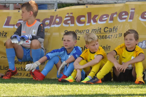 Vereinsfest '19: FSV All-Stars - Grasshoppers Jena