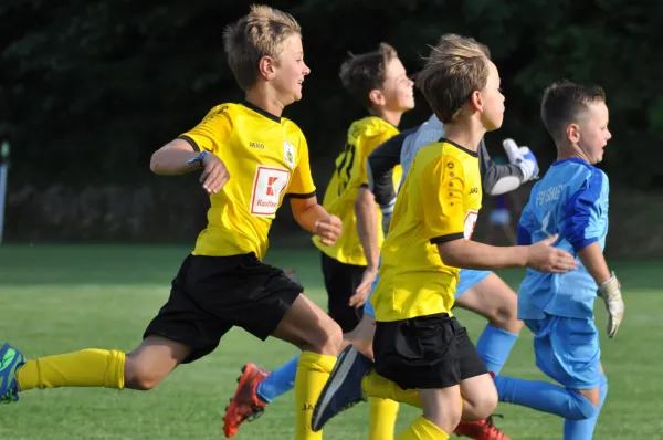 Vereinsfest '19: FSV All-Stars - Grasshoppers Jena