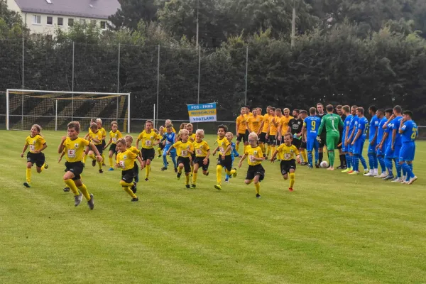 Thüringen Pokal: FSV - FC Carl Zeiss Jena Nr. III