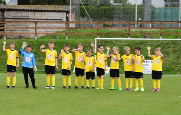F-Jugend: FSV Schleiz - BW Neustadt (J. Müller)