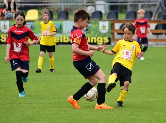F-Jugend: FSV Schleiz - Ottendorf (J. Müller)
