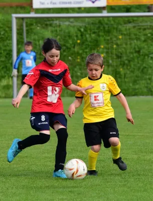 F-Jugend: FSV Schleiz - Ottendorf (J. Müller)