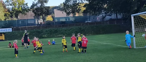 Bambini: FSV Schleiz - SV Ebersdorf