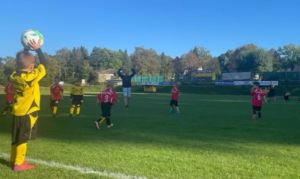 Bambini: FSV Schleiz - SV Ebersdorf