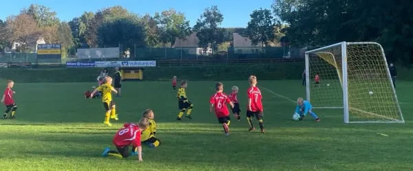 Bambini: FSV Schleiz - SV Ebersdorf