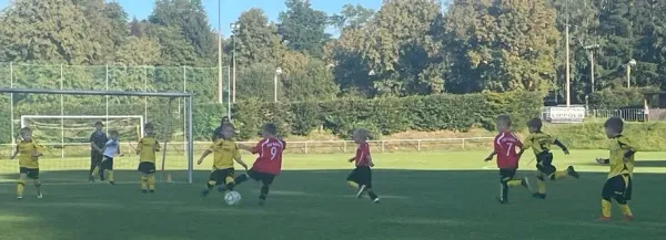 Bambini: FSV Schleiz - SV Ebersdorf