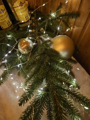 2. FSV-Weihnachtsmarkt 2023