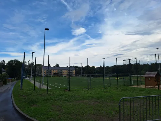Bauphase Kunstrasen - Teil 2 (St. Strauß)