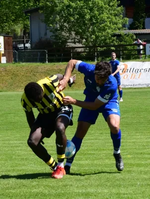 TL 24/25: Schleiz – Meiningen (Jü. Müller)