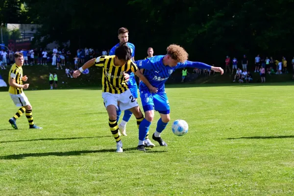 TL 24/25: Schleiz – Heiligenstadt (Jü. Müller)