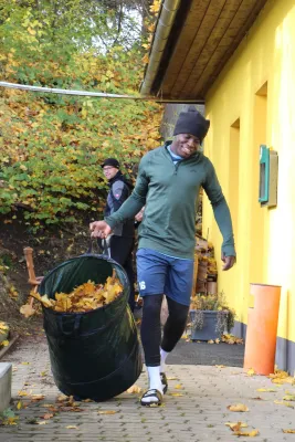 Arbeitseinsatz 'Herbstlaub' I