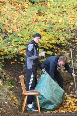 Arbeitseinsatz 'Herbstlaub' I