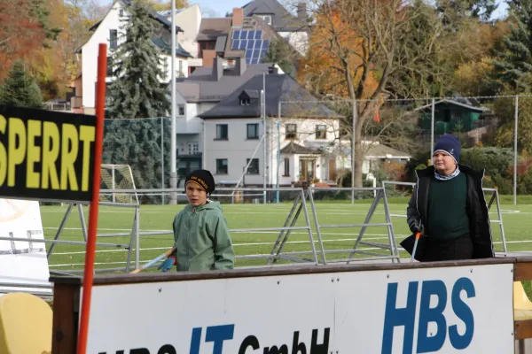 Arbeitseinsatz 'Herbstlaub' I