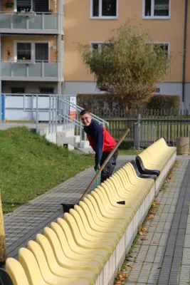 Arbeitseinsatz 'Herbstlaub' I