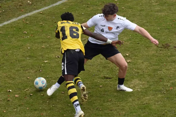TL 25/26: Schleiz – Wismut Gera (K. Müller)