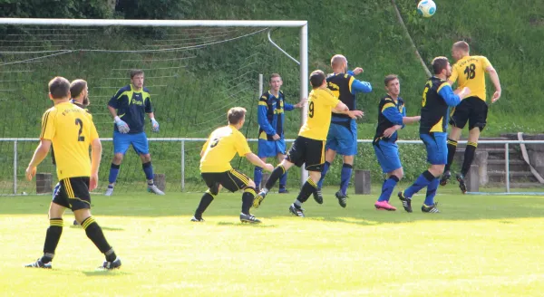 Testspiel FSV Schleiz - 1. FC Trogen