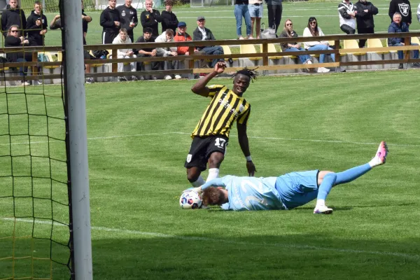 TL 25/26: Schleiz – SCHOTT (K. Müller)