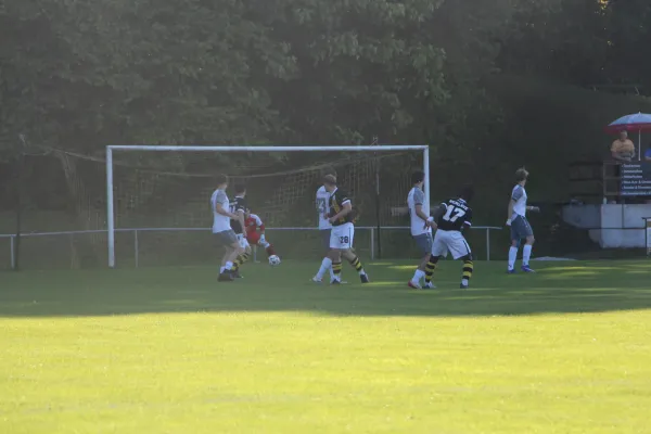 Test 25/26: Schleiz – U19 VFC Plauen (Broßmann)