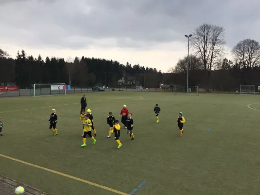 17.03.2017 SV Grün-Weiß Tanna vs. FSV Schleiz