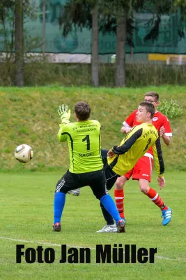 23.04.2017 FSV Schleiz vs. SV BW Neustadt