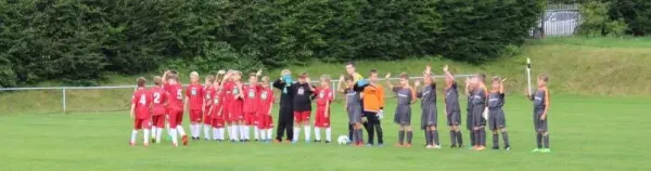 16.08.2017 FSV Schleiz vs. FC Motor Zeulenroda