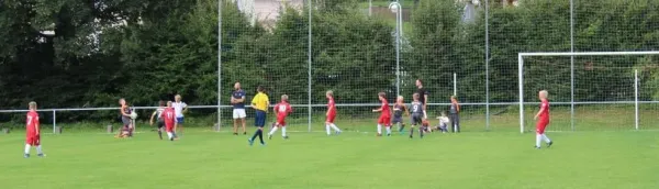 16.08.2017 FSV Schleiz vs. FC Motor Zeulenroda