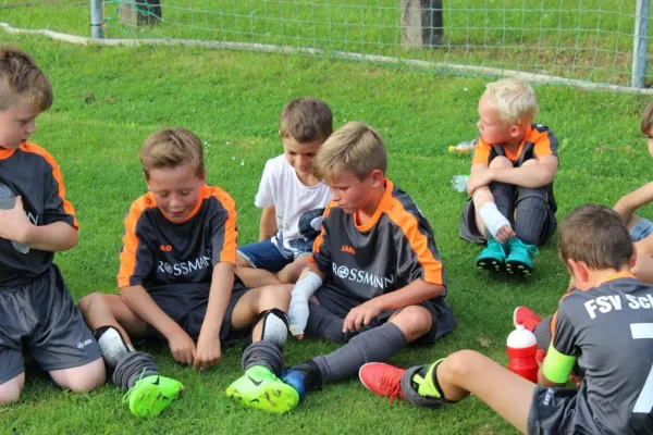 16.08.2017 FSV Schleiz vs. FC Motor Zeulenroda