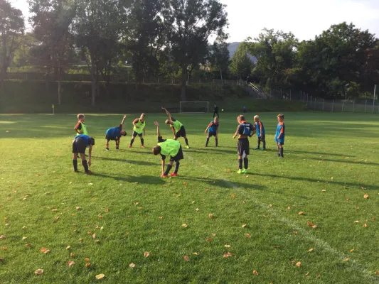 27.08.2017 FC Thüringen Jena vs. FSV Schleiz