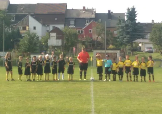 25.08.2017 FSV Schleiz vs. SV BW Neustadt II