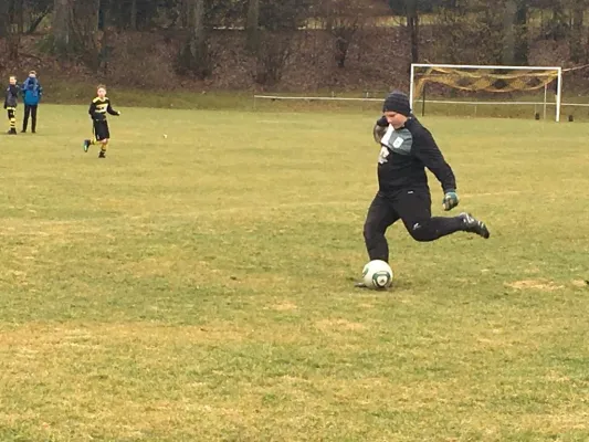 02.03.2019 FSV Schleiz vs. BSG Wismut Gera