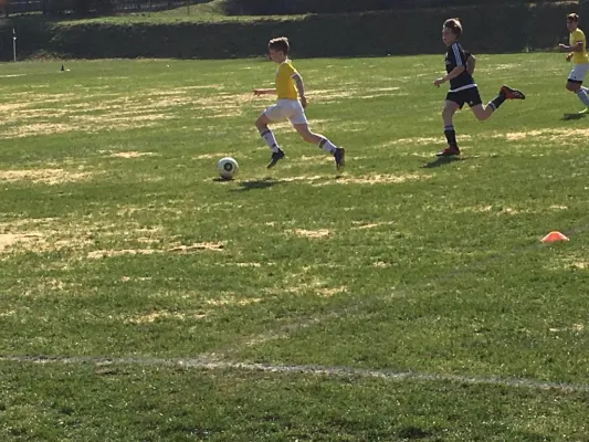 06.04.2019 FSV Schleiz vs. FC Thüringen Jena