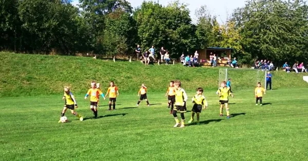 19.09.2015 Rosenthal Blankenst. vs. FSV Schleiz