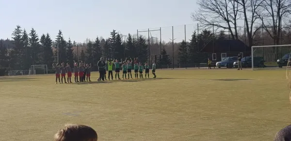 22.03.2019 SV Grün-Weiß Tanna vs. FSV Schleiz II