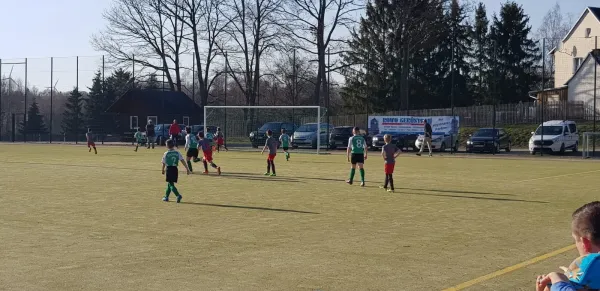 22.03.2019 SV Grün-Weiß Tanna vs. FSV Schleiz II