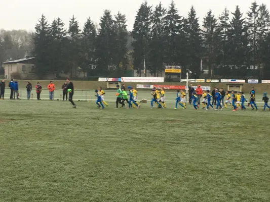 14.04.2019 FSV Schleiz vs. BSG Chemie Kahla