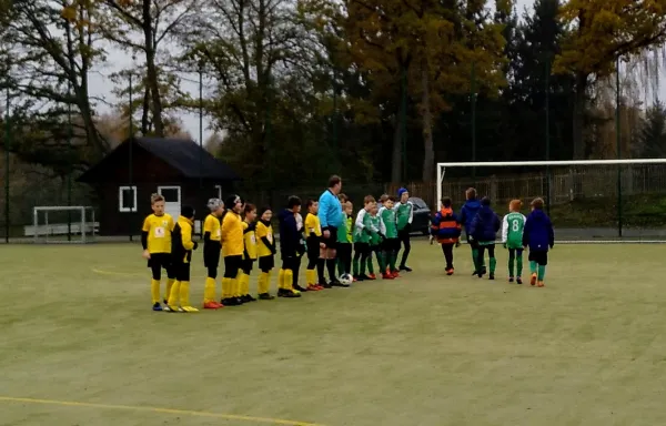 16.11.2019 SV Grün-Weiß Tanna vs. FSV Schleiz