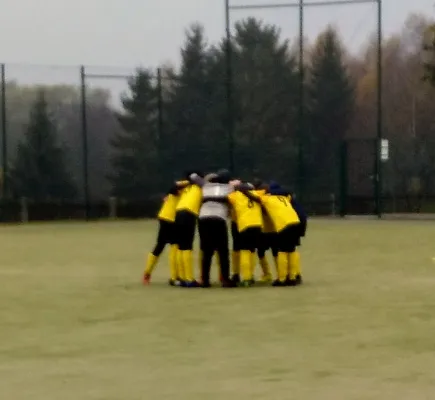 16.11.2019 SV Grün-Weiß Tanna vs. FSV Schleiz