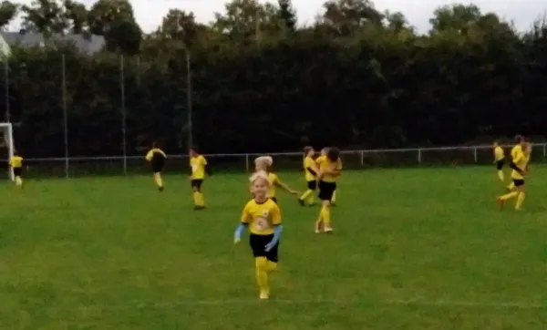 27.09.2019 FSV Schleiz vs. VfR Bad Lobenstein