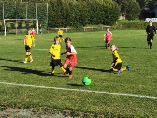20.09.2019 FSV Schleiz vs. SV 1990 Ebersdorf