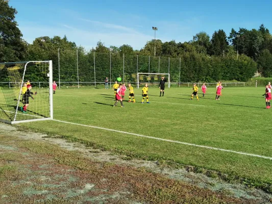 20.09.2019 FSV Schleiz vs. SV 1990 Ebersdorf