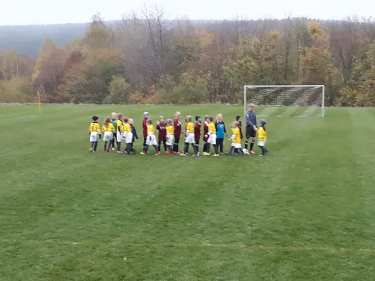 01.11.2019 Rosenthal Blankenst. vs. FSV Schleiz
