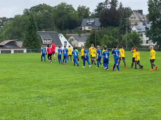 22.08.2020 FSV Schleiz vs. SpVgg Bayern Hof