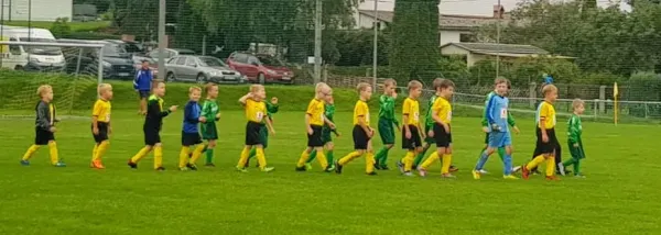 05.09.2020 FSV Schleiz vs. FSV Orlatal